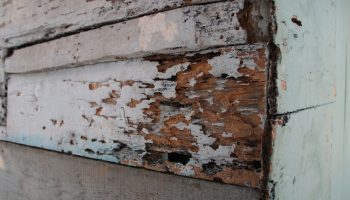 deteriorated siding