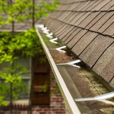 Gutters With Standing Water